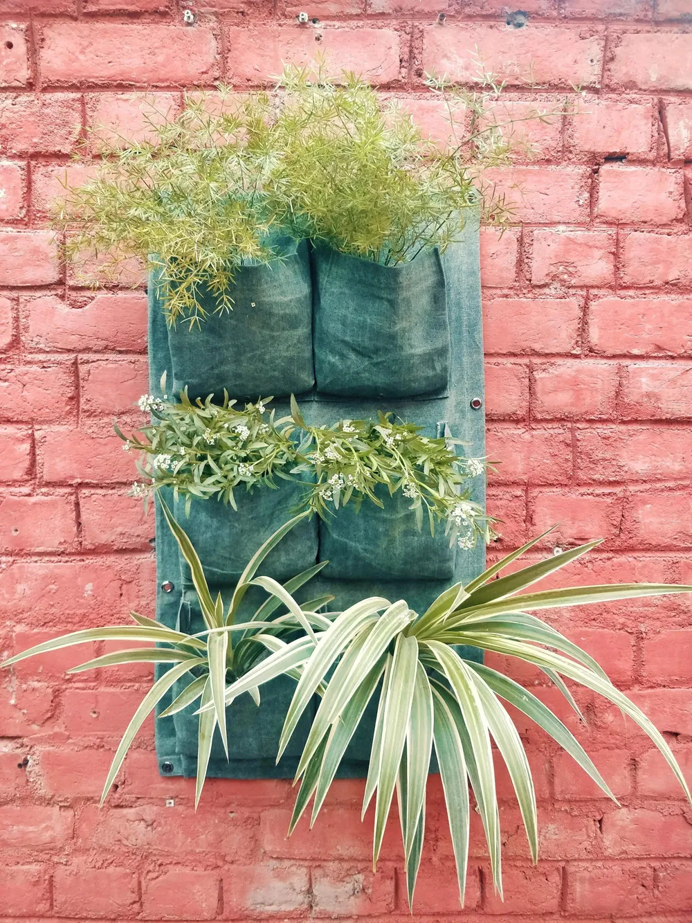 6 Pockets' Elegant Fabric Wall Planter for Green Wall