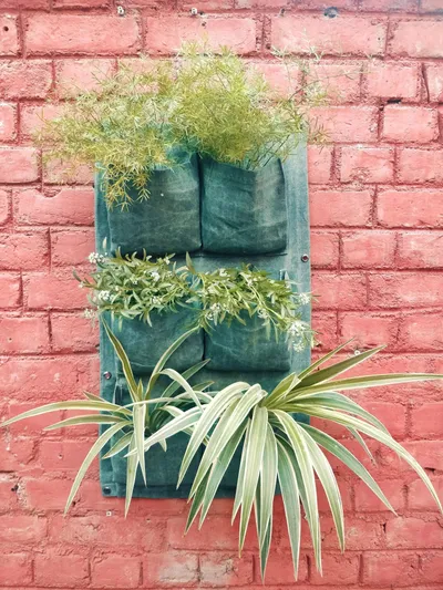 6 Pockets' Elegant Fabric Wall Planter for Green Wall