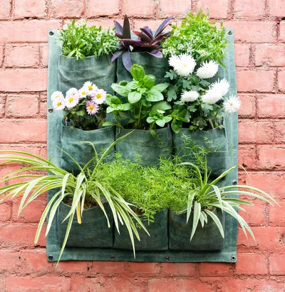 9 Pockets' Elegant Fabric Wall Planter for Green Wall