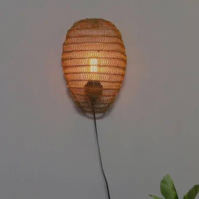 Balloon Shaped Gold Wire Caged Industrial Wall Light
