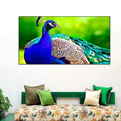Beautiful Peacock Big Panoramic Canvas  Wall Painting