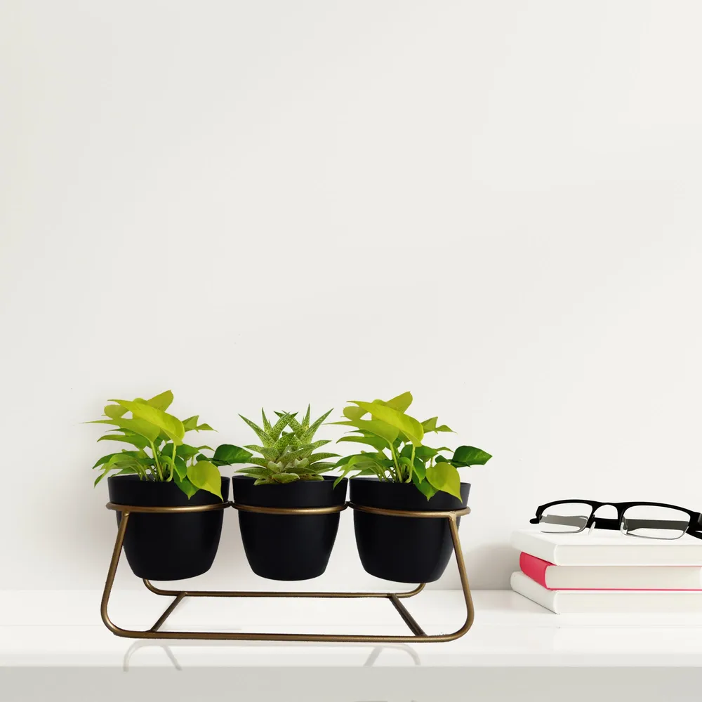 Bella Tapered Black & Gold Long Planter With stand