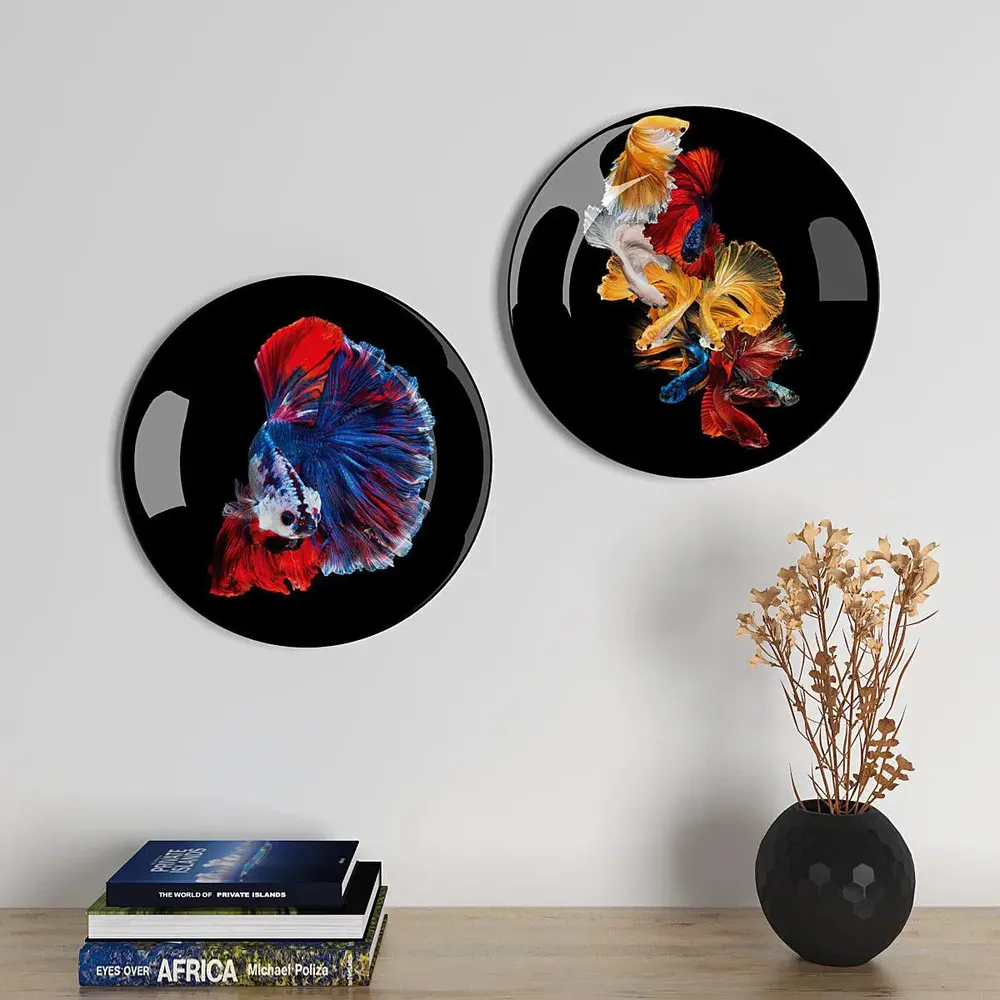 Ceramic Wall Plates With Colorful Fish Art Round Shape, Wall Hanging.