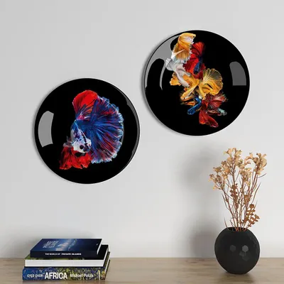 Ceramic Wall Plates With Colorful Fish Art Round Shape, Wall Hanging.