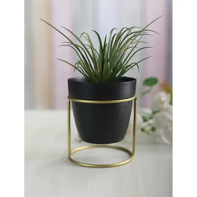 Classic Black and Gold Toned Resilient Metal Planter Stand Set Of 1