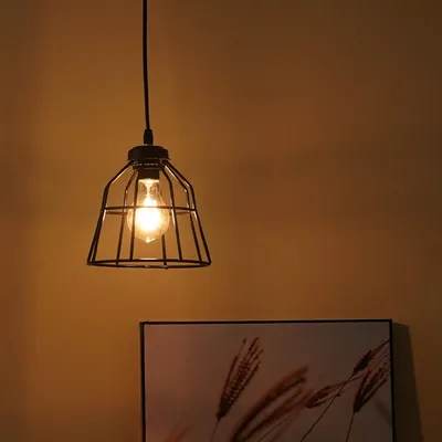 Classic Royal Black Metal Decorative Hanging Lamp