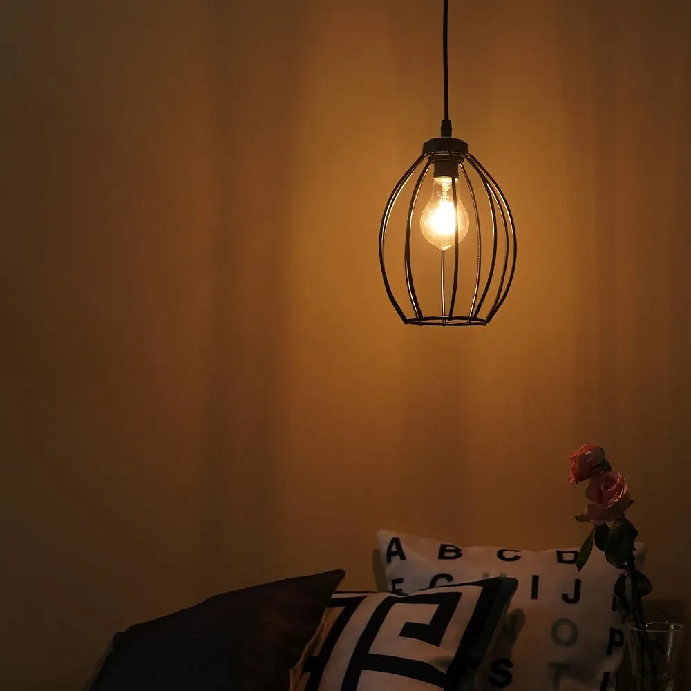 Classic Royal Black Metal Pendant Hanging Lamp