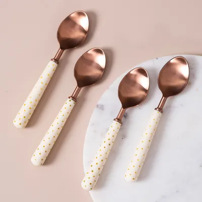 Copper Stainless Steel With Resin Cutlery Set of 4