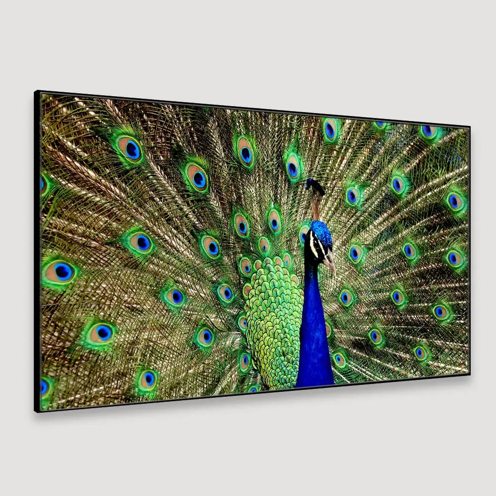 Dancing Peacock Cheerful Canvas  Wall Painting