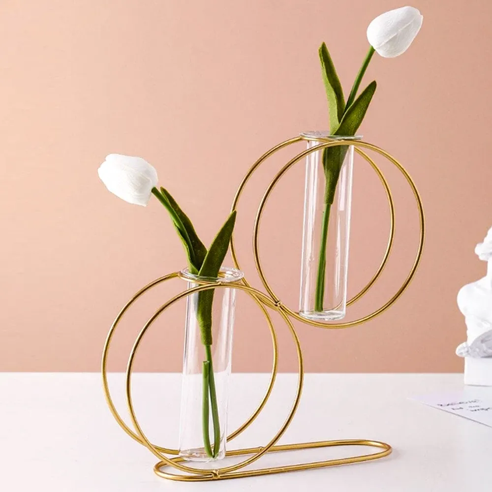 Double Round Metal Wire Glass Tube Vase