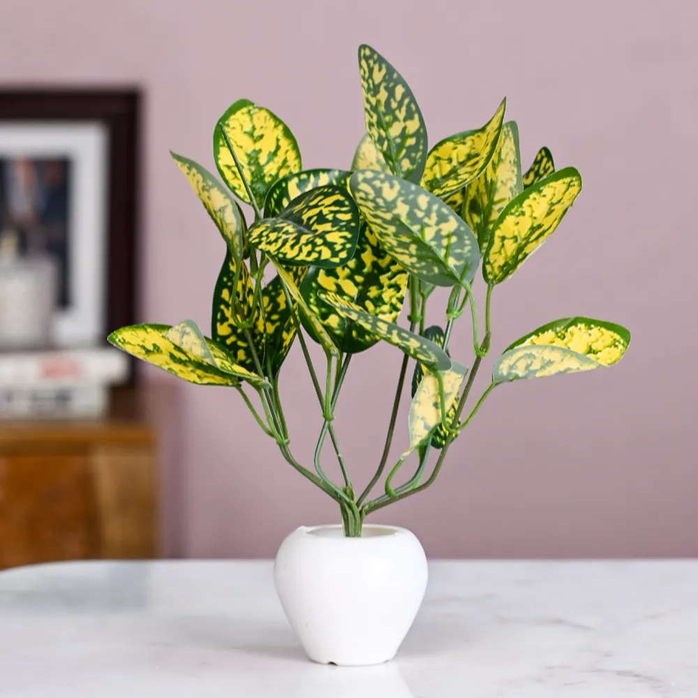 Dracaena Small Leaves Artificial Plant With Pot