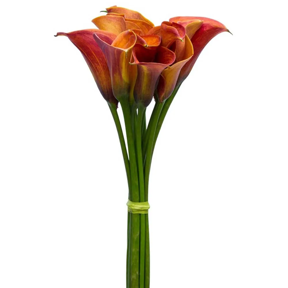 Dreamy Orange Artificial Calla Lily Flowers Sticks