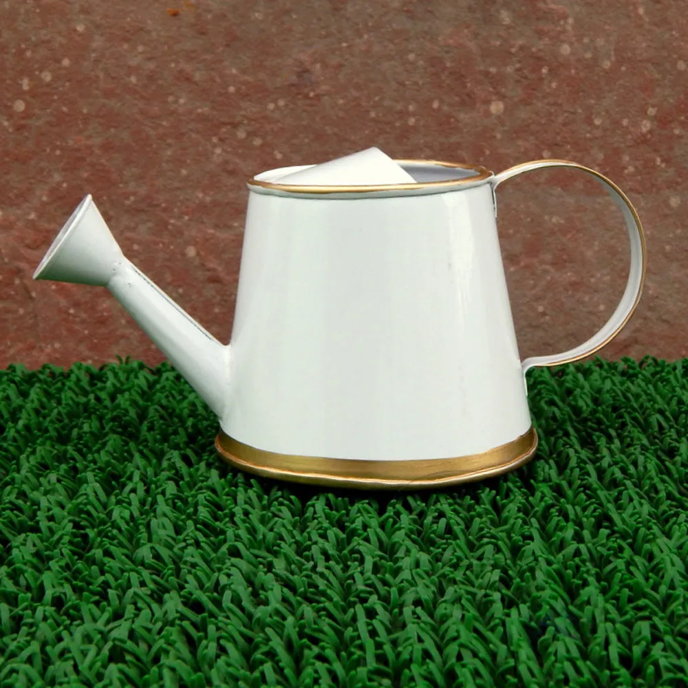 Ecofynd 250 ml Mini Garden Watering Can for Plants for Kids (White)