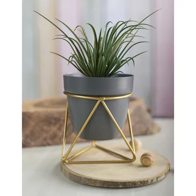 Elegant Grey and Gold Resilient Metal Plant Pot Set Of 1