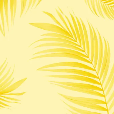 WallMantra Elegant Palm Fronds Premium Quality Wallpaper