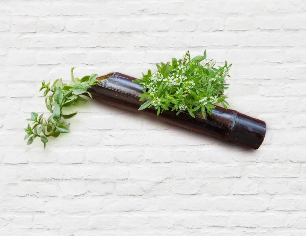Elegant Wall Hanging bamboo Planter