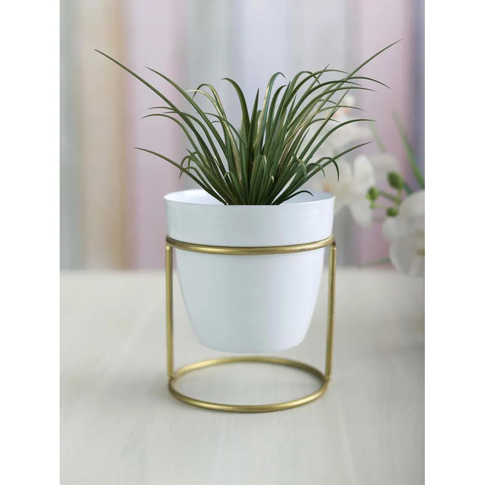 Elegant White and Gold Toned Resilient Metal Pot Stand Set Of 1