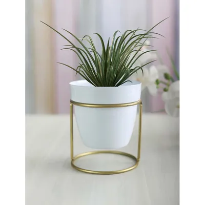 Elegant White and Gold Toned Resilient Metal Pot Stand Set Of 1