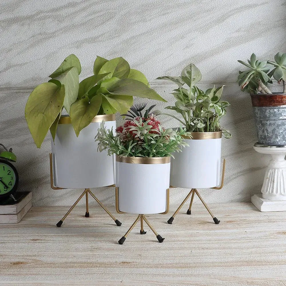 Elegant White & Gold Metallic Planter Set of 3