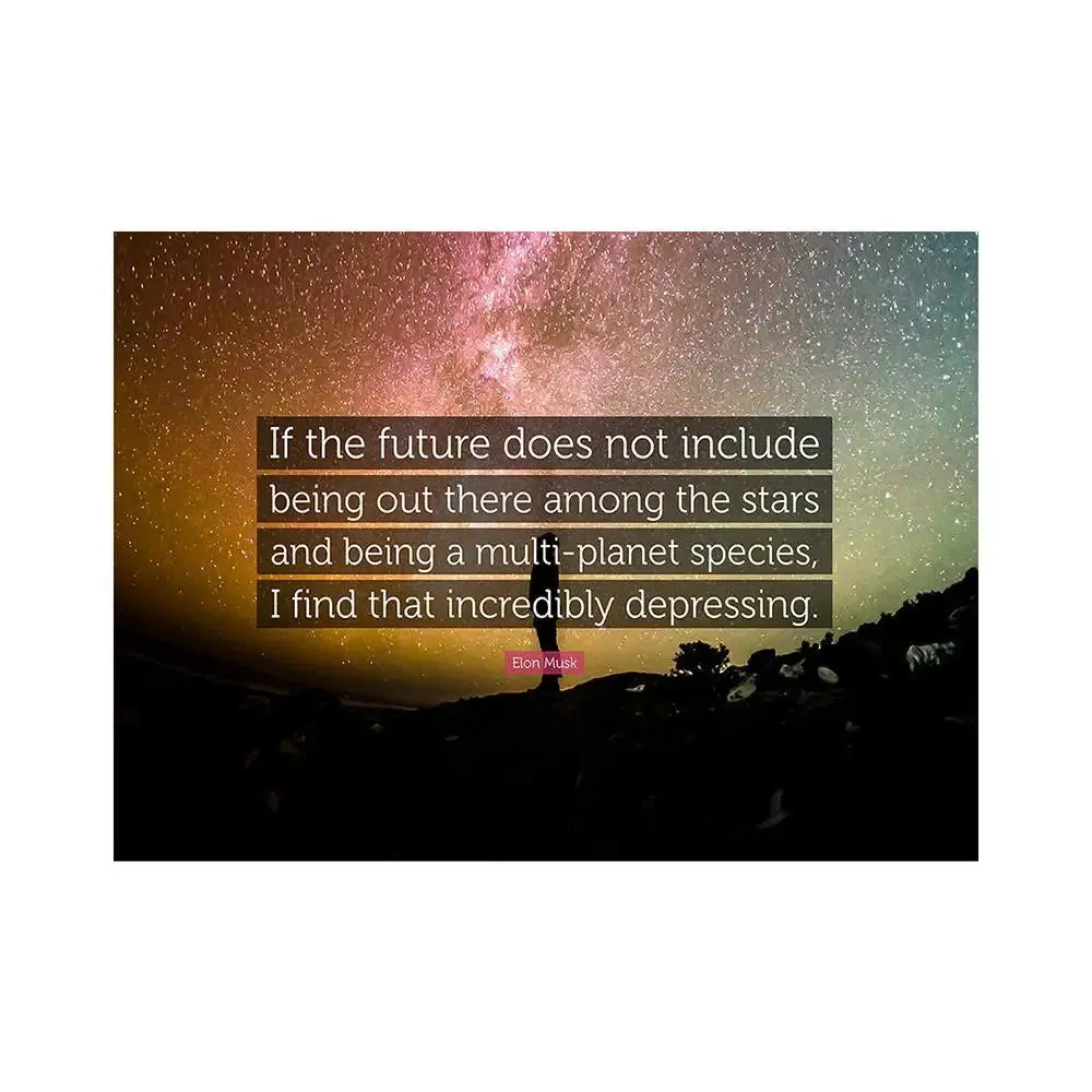 Elon Musk Quote Poster