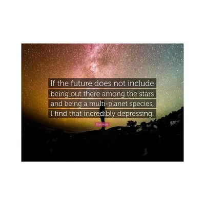 Elon Musk Quote Poster