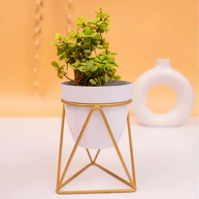 Frosty White and Gold Resilient Metal Plant Pot