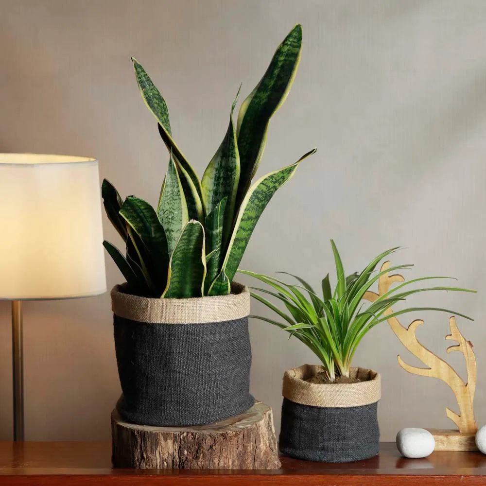 Grey Green Handcrafted Cotton & Jute Planters Set Of 2