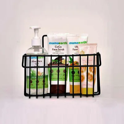 Grista Modern Metal Holder/ Organizer