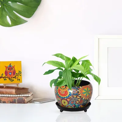 Lily Designer Metal Plant Pot with Plate