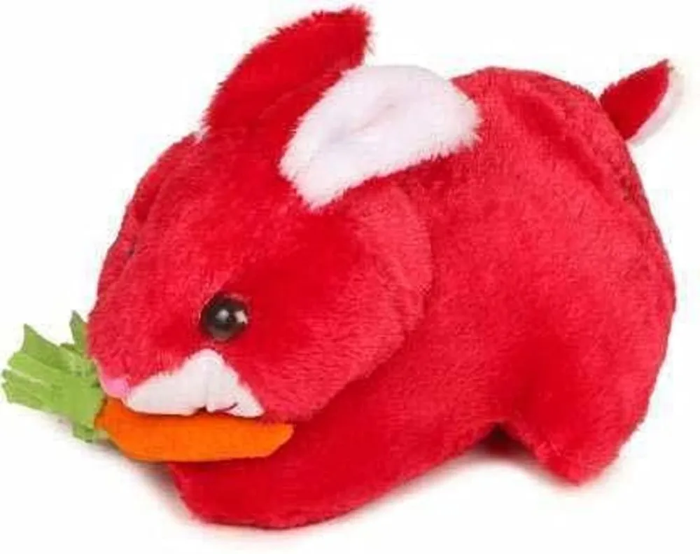 Little Mushy Bunny With Carrot Soft Toy