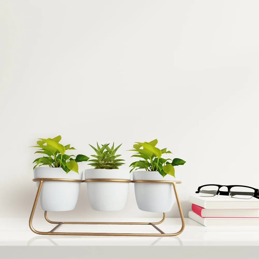 Lux Tapered White & Gold Long Planter with Stand