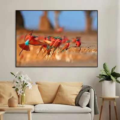 Mesmerising Red &amp; Blue-Winged African Birds Wall Painting