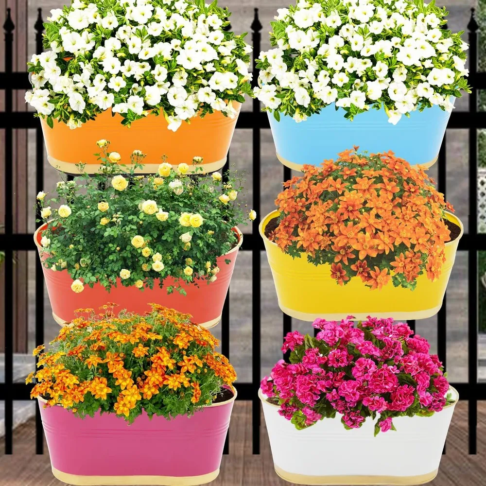 Modern Oval Multicolor Balcony Railing Planter with Detachable Handle Set Of 6