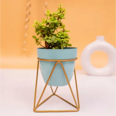 Ocean Blue and Gold Resilient Metal Plant Pot