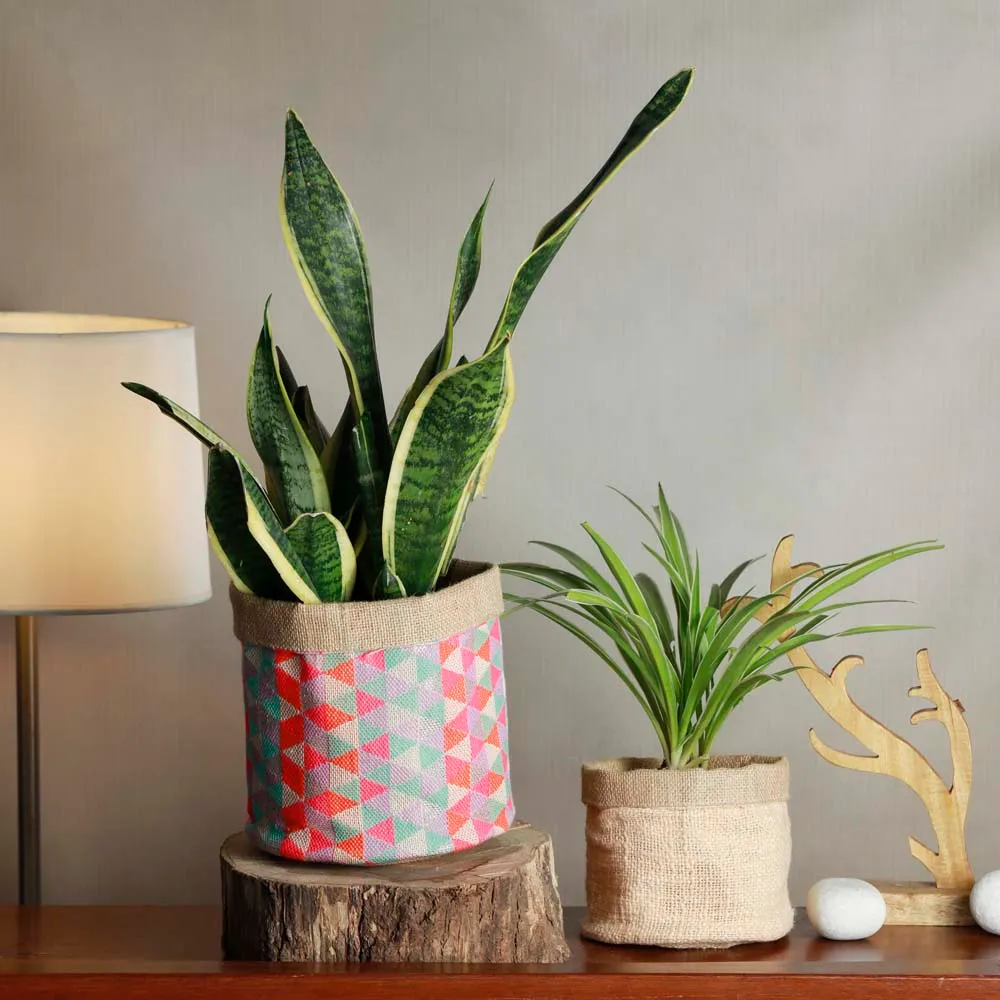 Red & White Printed Cotton & Jute Planters Set Of 2