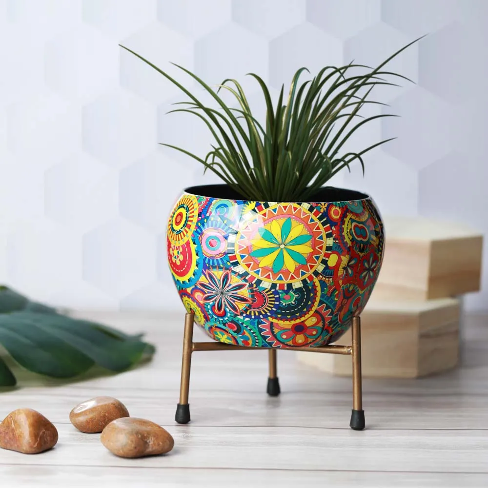 Royal Bright Multi-Hued Resilient Metal Plant Pot With Stand Set Of 1