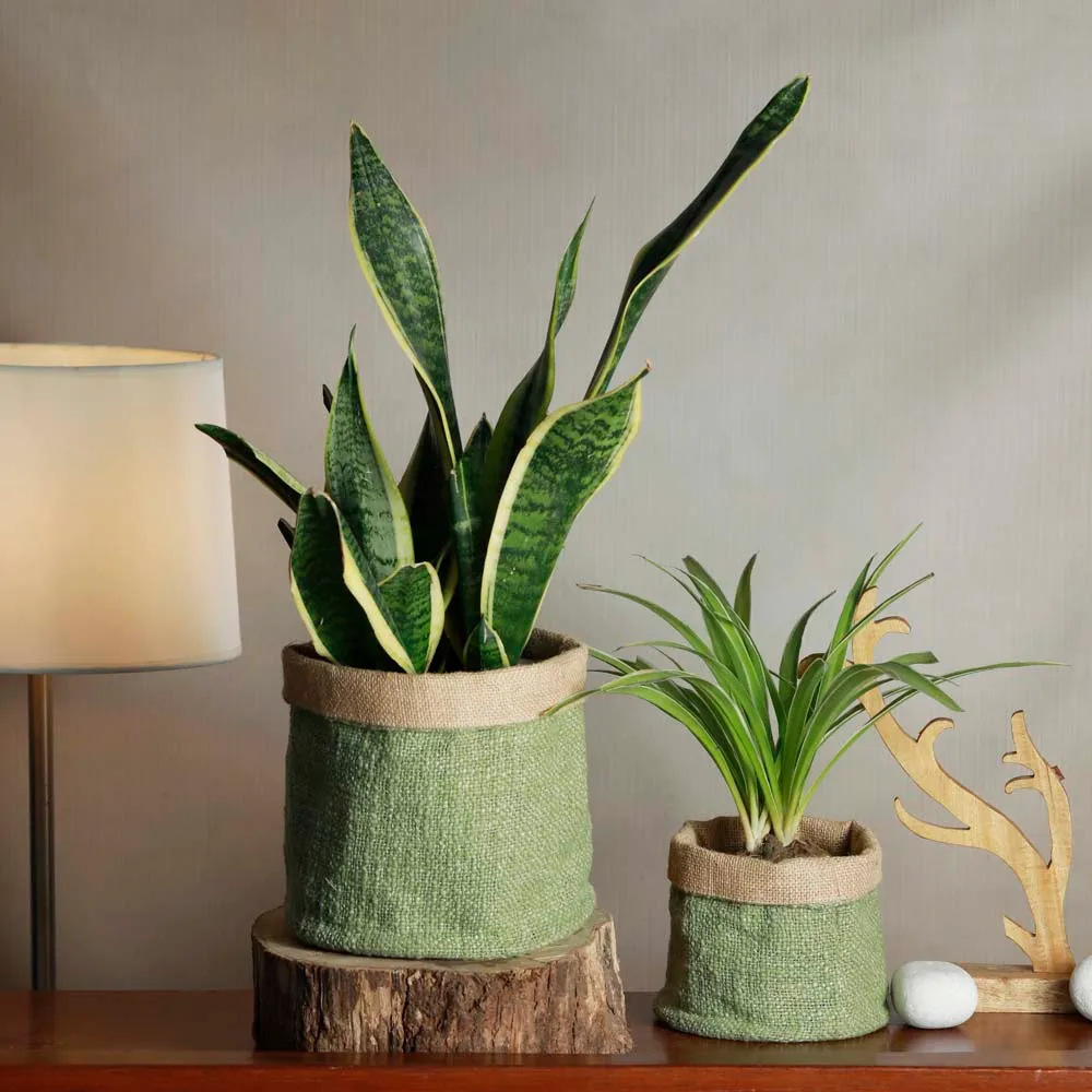 Sap Green Handcrafted Cotton & Jute Planters Set Of 2
