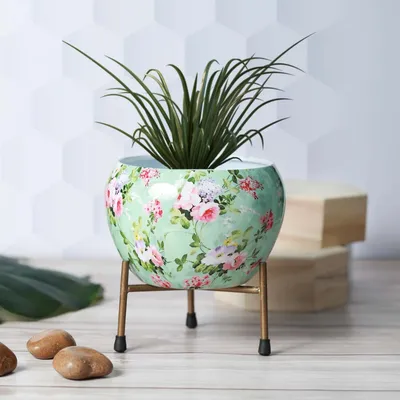 Serene Green and Golden Resilient Metal Plant Pot Set Of 1