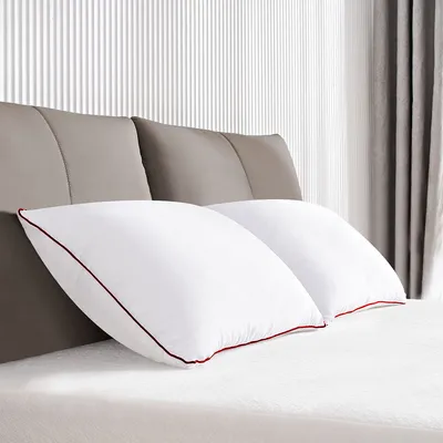 Snug Hollow Fibre Sleeping Pillow (Set of 2, 20*30 inches)