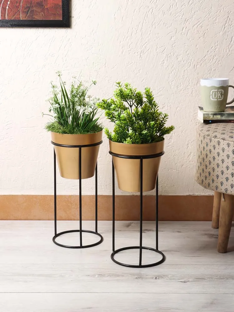 Standard Metal Black Planters With Tall Golden Stand Set Of 2