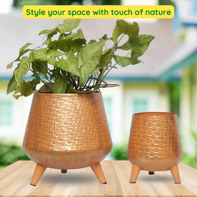 Stunning Set of 2 Rope Textured Indoor Metal Plant Stand with Pot- Orange
