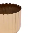 thumb_1