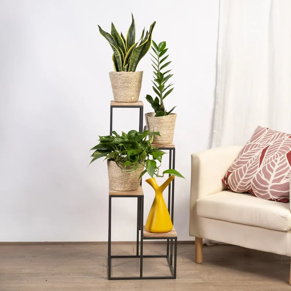 Timeless Sturdy Black Metal Planter Stand with Premium Brown Wooden Shelves- 4 tier