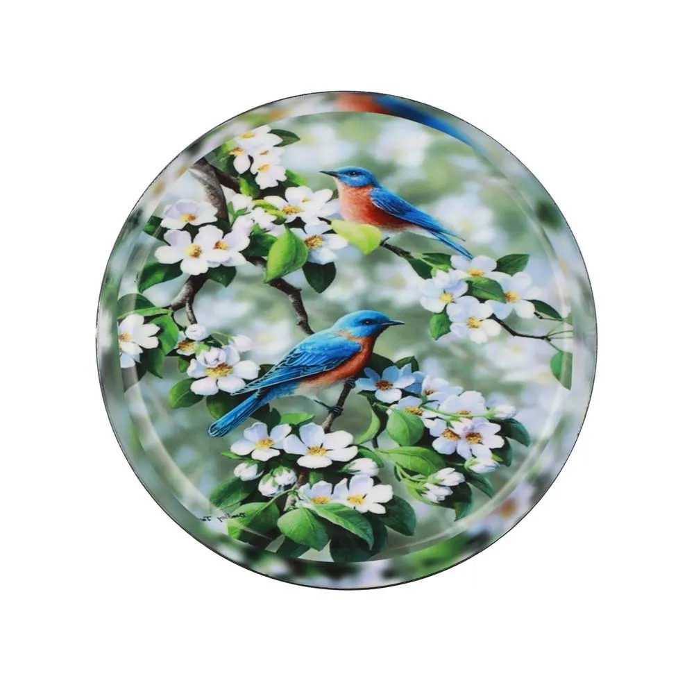 Typographic 'Miraculous' Premium Decorative Metal Wall Plate (10 Inches)
