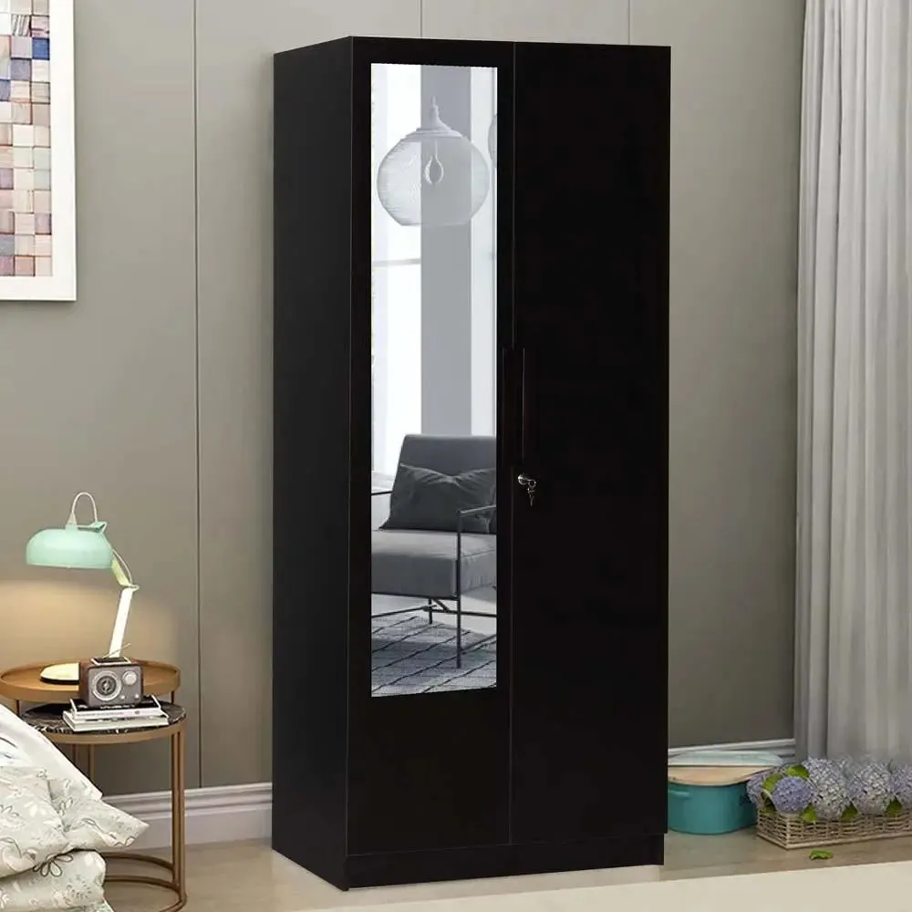 Wenge Engineered Wood 2 Door Wardrobe With Mirror