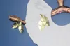 thumb_1