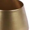 thumb_1