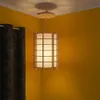 thumb_0